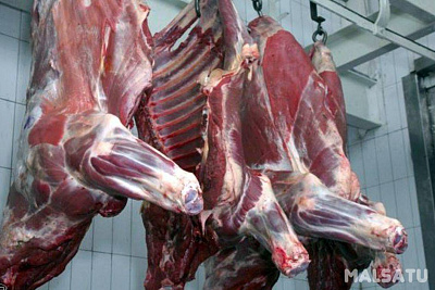 Превью Медведь(часть туши)